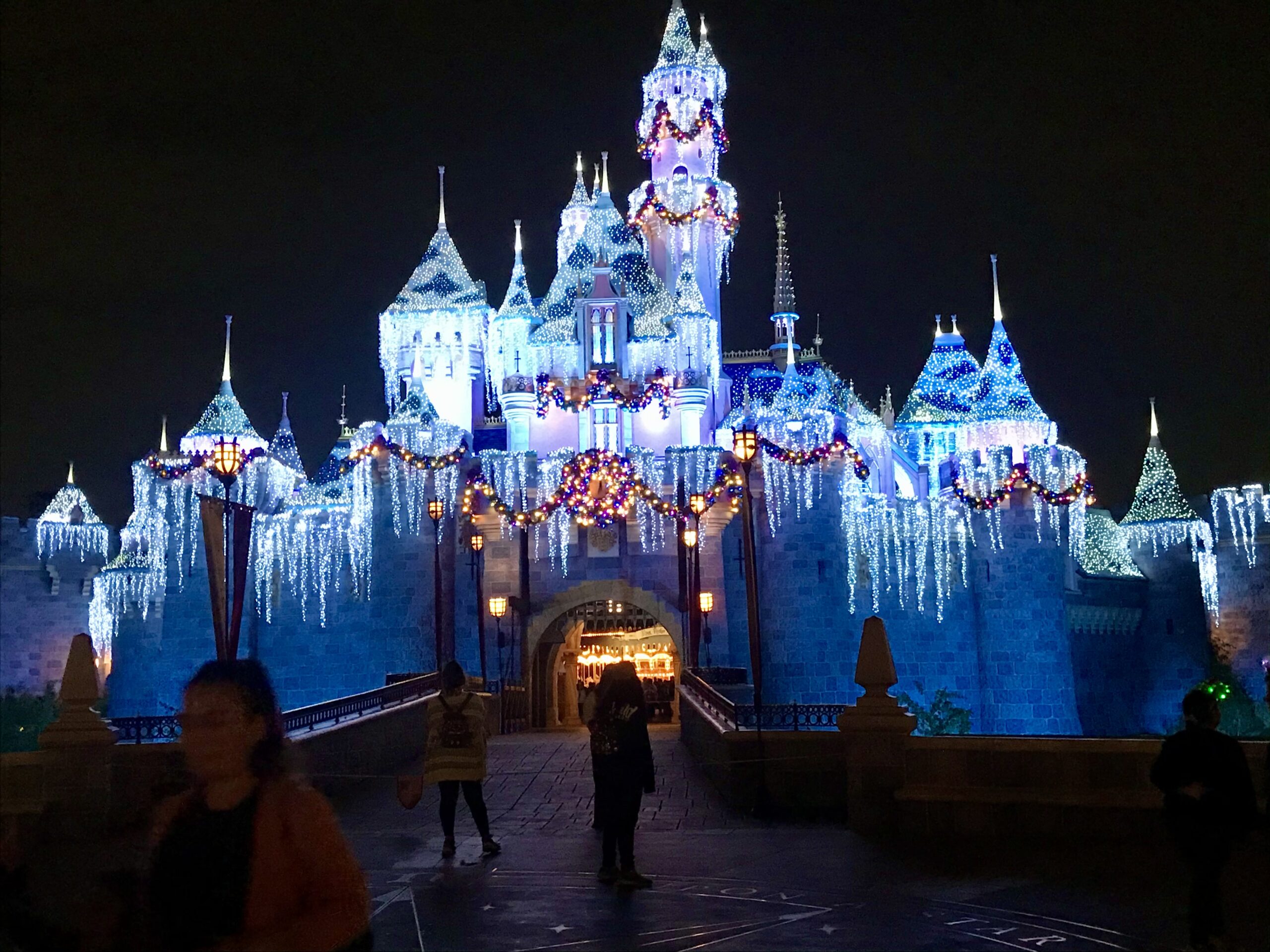 Disneyland Cinderellas Castle At Night