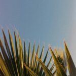 featured-image-4